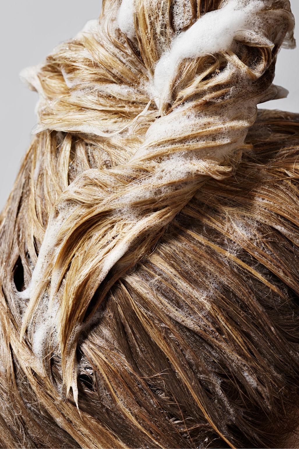 Shampoo for Magnificent Volume - The Coloroom