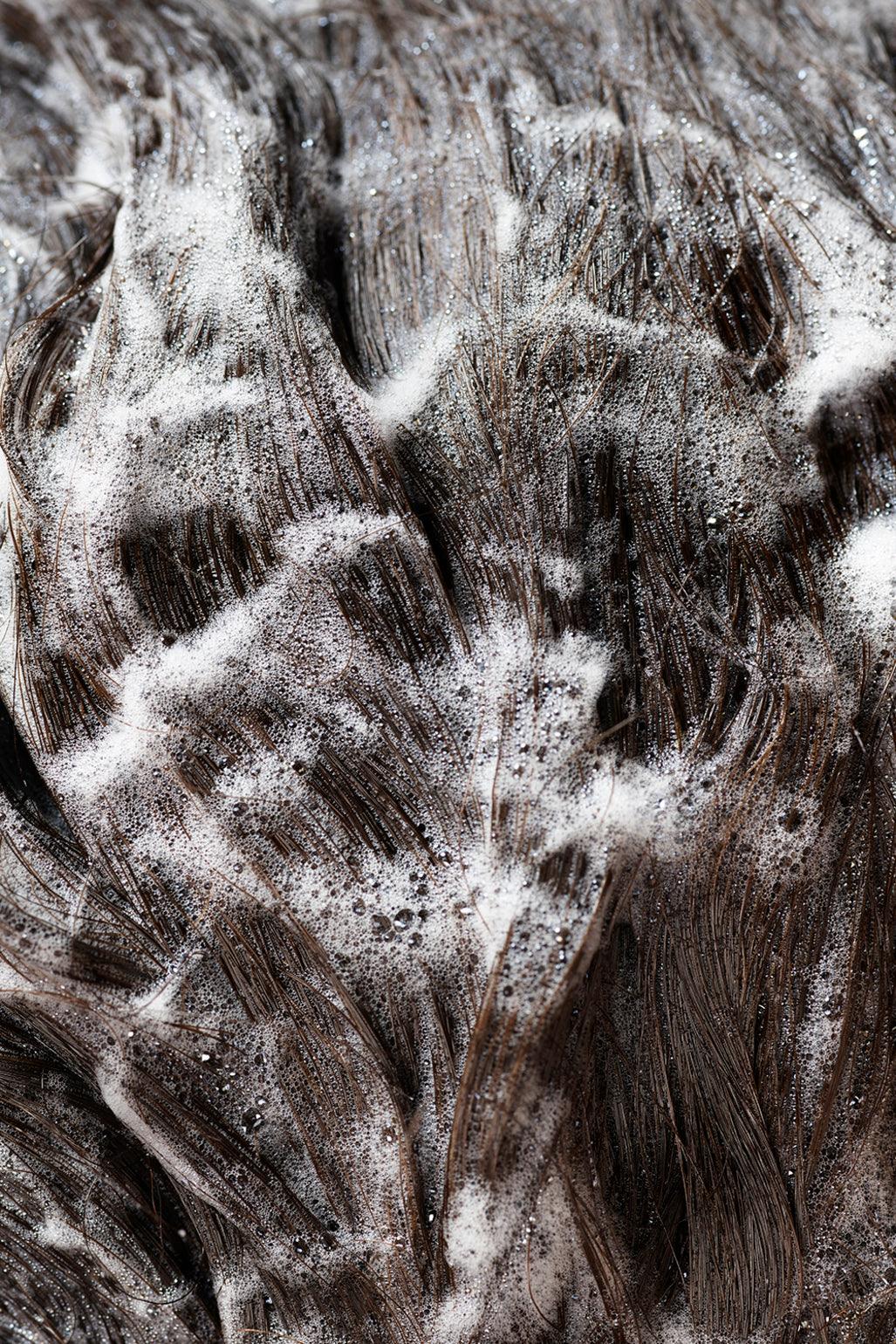 Signature Shampoo - The Coloroom