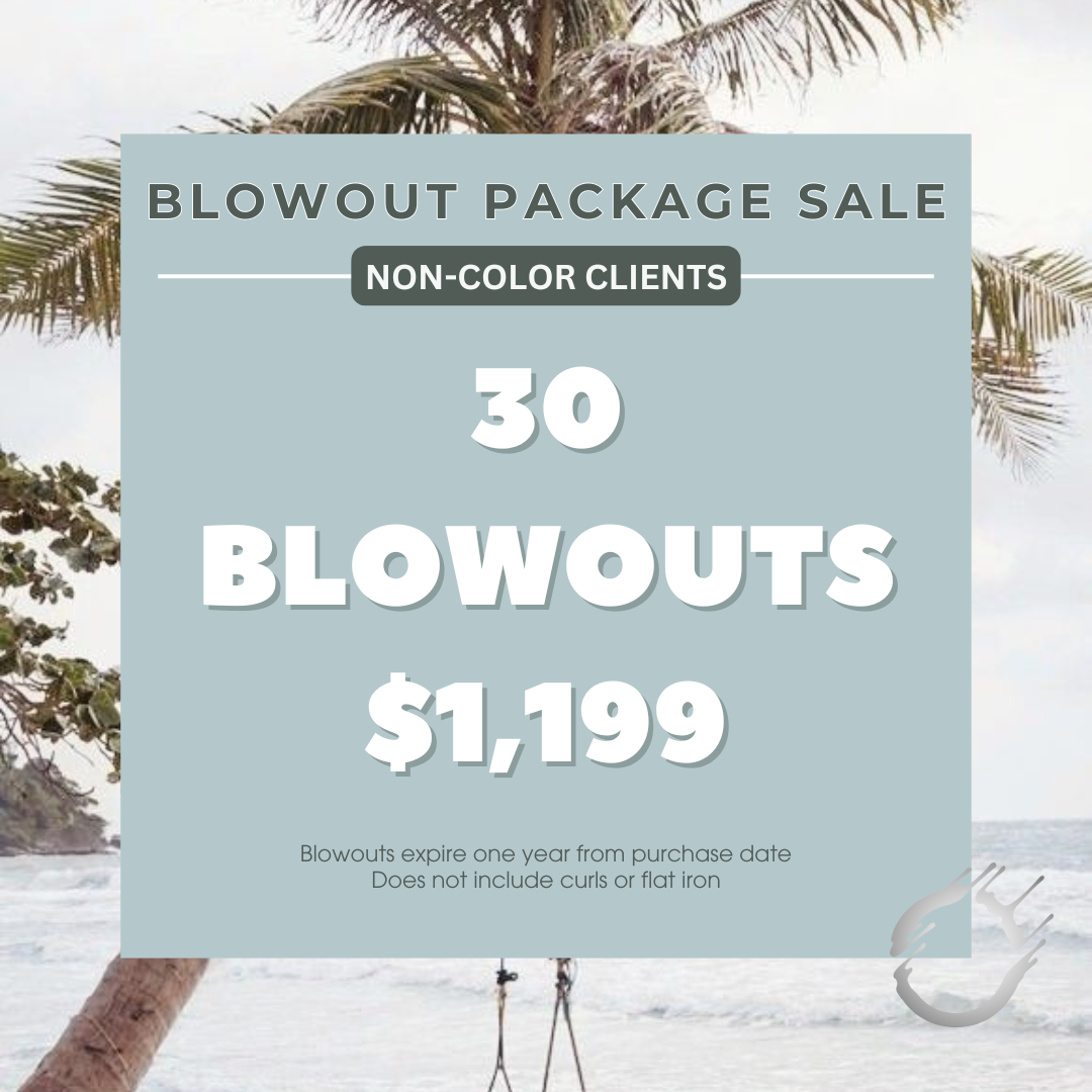 30 BLOWOUTS NON COLOR CLIENTS